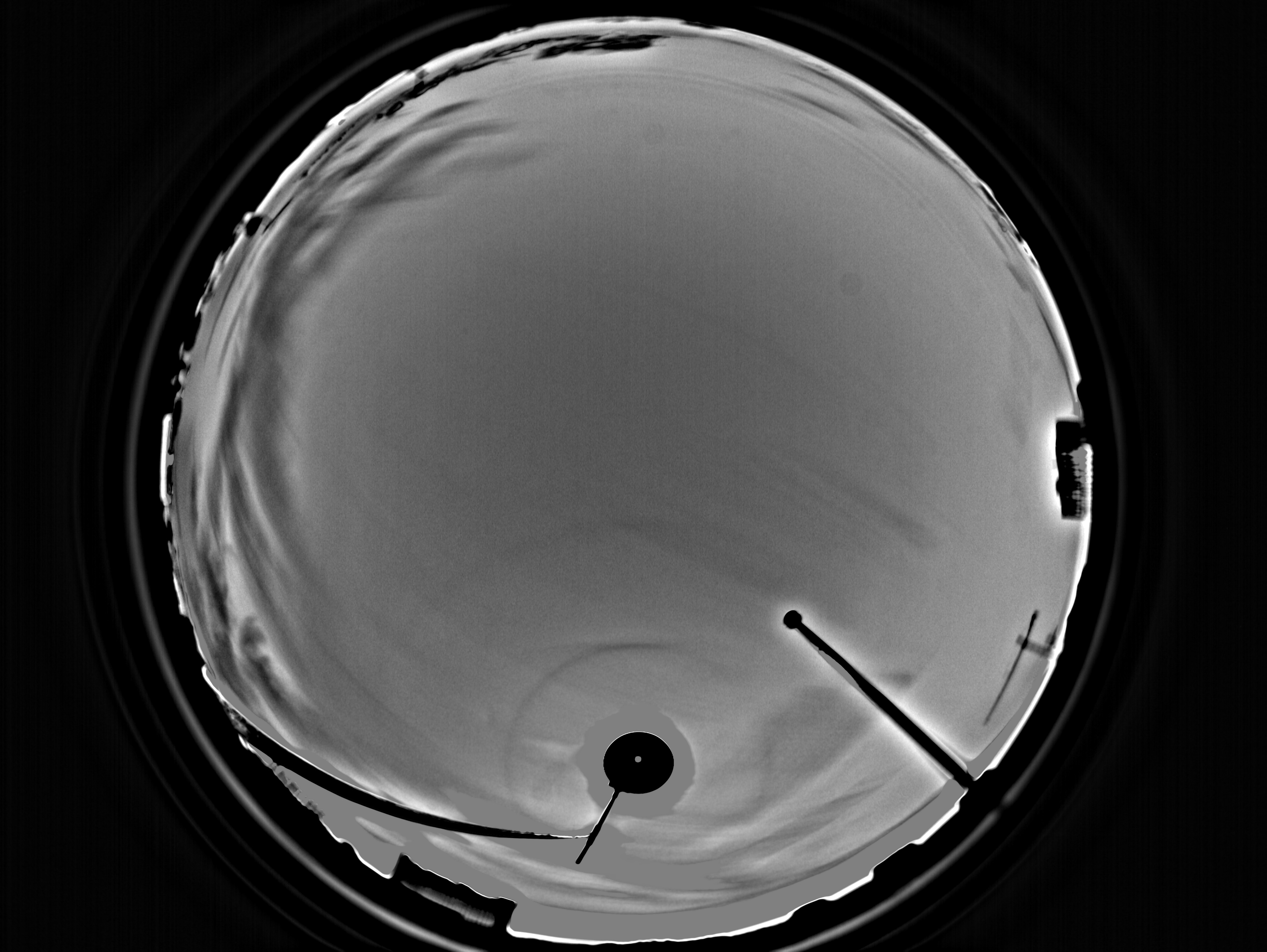 Parhelic Circle over Vancouver · Ice Halo Tracker