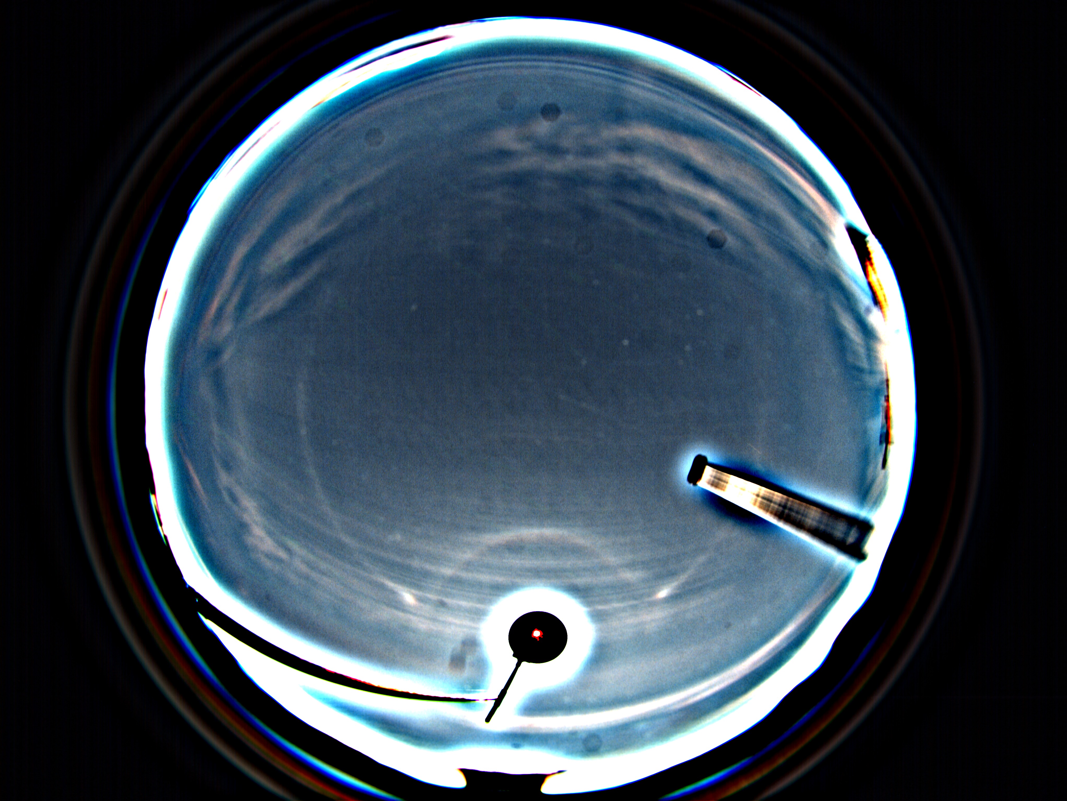 Parhelic Circle over Vancouver · Ice Halo Tracker